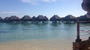 6.9K views · 564 reactions | Live from beautiful Moorea... ☀️ | Hilton Moorea Lagoon Resort and Spa | Facebook