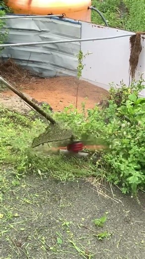 마당에서 예초기 작업.#풀 #잔디 #벌초 #예초기 #줄날 #칼날 #ZENOAH #BK4302 #automobile #줄다리기 #lawncare #farming #satisfying