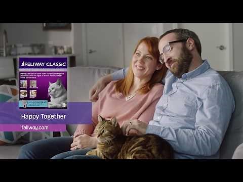 FELIWAY - You Would Not Put Up With It Someone Else Did It - TV Ad