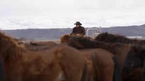 Cowboy riding a horse - Free Stock Video Footage | Coverr