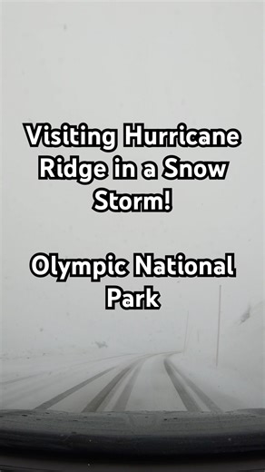 Visiting Hurricane Ridge in a Snow Storm! Olympic National Park in Washington! #pacificnorthwest