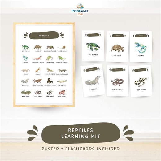 Reptiles: Animals Classification Learning Kit | Poster and Flashcards Bundle Printable - Etsy