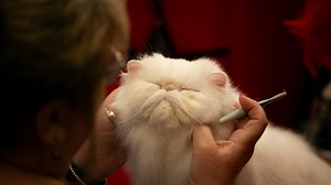 Check out fun events in Corpus Christi in January 2026