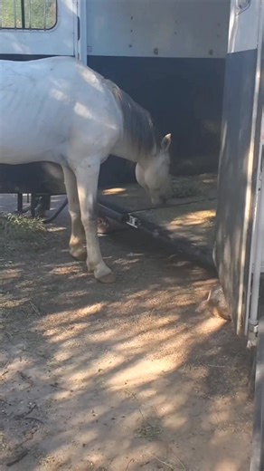 49K views · 1.9K reactions | The "Bad Boys" Part 2 - The Loading....