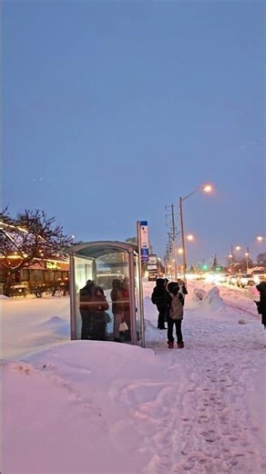 Frozen Scarborough after dark #winterwonderland #canada