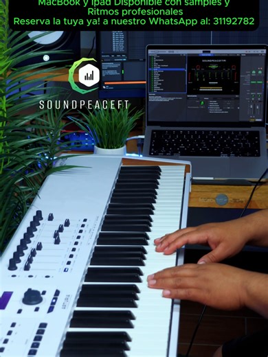 Instrumentos Musicales y Accesorios a Domicilio