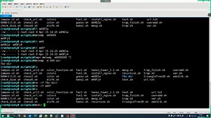 【马哥教育】shell脚本安装复制文件install