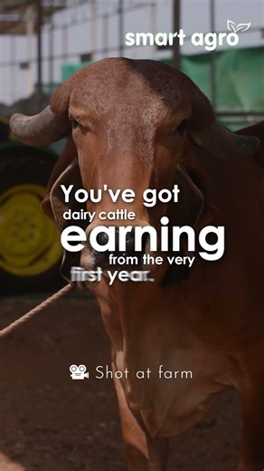 Smarter Way to Invest in Farmland | Integrated Farming System | PomX Managed Farmland by Smart Agro