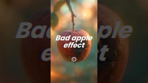 The bad apple effect EXPLAINED | Ufuk Turen
