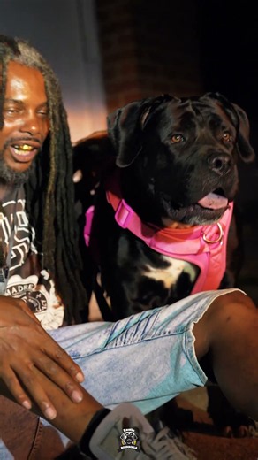Proof That Size Doesn’t Tell You Everything About A Dog