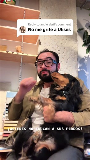 Effective Dog Training Techniques for Better Behavior