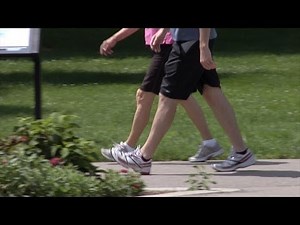 Exercise Research at the University of Kentucky