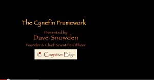 The Cynefin Framework - Resource