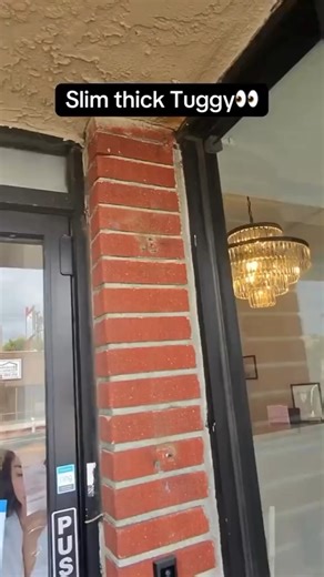 78K views · 371 reactions |  FULL VIDEO LIVE on my story!  Behind the scenes + ALL locations EXPOSED in EVERY state  PLUS my secret USERGUIDE tips 狼 #behindthescenes #locationreveal #exclusivecontent #userguide | Queen Legacy | Facebook