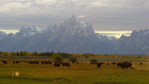 CBS News Sunday Morning:Nature: Grand Teton National Park