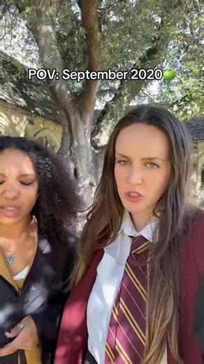 The Enchanted Hallways of Hogwarts: Exploring the Hidden Corners