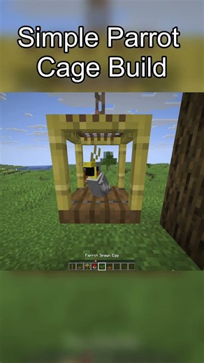 Simple Minecraft Parrot Cage Build! 🦜✨ #shorts