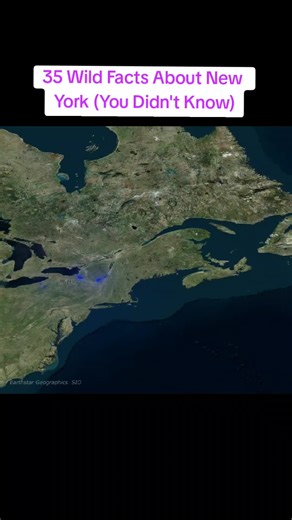 35 Wild Facts About New York (You Didn't Know) | New york