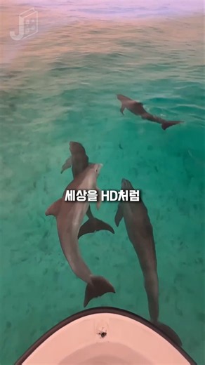 물속을 보여주는 선글라스