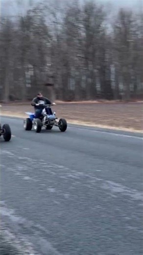 Budget banshee boys 2.0