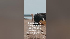 An ESL classroom activity for all students: The dance of the Ostrich Teaching ESL Students shorts