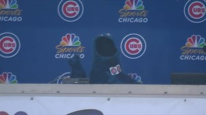 On this day in 2019, Cookie Monster conducted an all-time 7th inning stretch at Wrigley Field! Join us for Sesame Street Day on Sept. 24: https://atmlb.com/44cIi0O | Chicago Cubs
