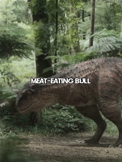 Gorgosaurus vs Carnotaurus #fyp #debate #1v1 #paleontology #dinosaur