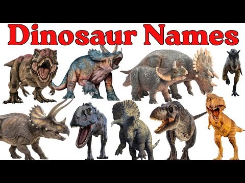 Dinosaur Names in English | Learn Dinosaur Names for Kids | Dinosaur Vocabulary & Facts