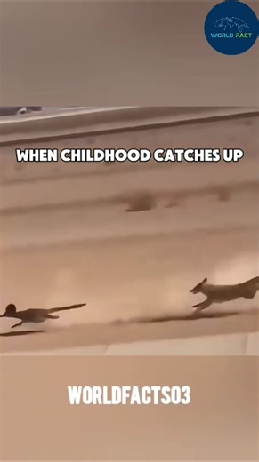 Real-Life Cartoon? The Amazing Road Runner! 💨🤯 #shorts #trending