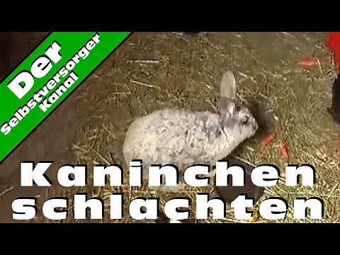 Kaninchen schlachten