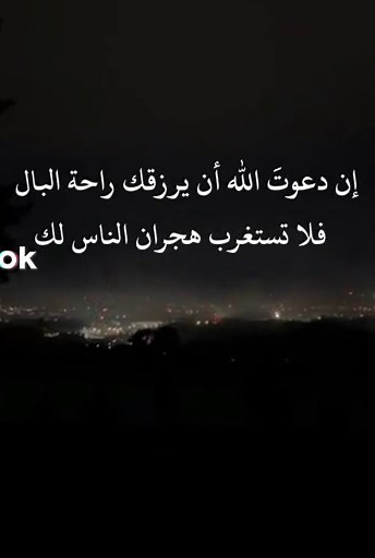 City Lights at Night: A Serene View from Above