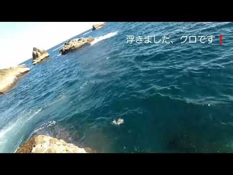 ２０２６年２月 鹿児島・内之浦の地磯のクロ釣り テクテク歩いてクロ釣り…の巻