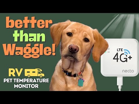 Better than Waggle? Necto RV Pet Temperature Monitor Review.