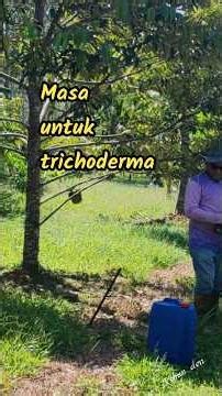 Time for trichoderma