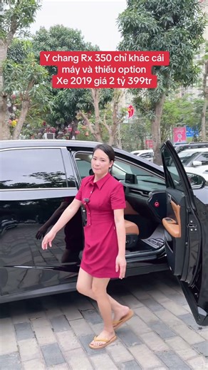 Lexus Rx 300 2019 cũ