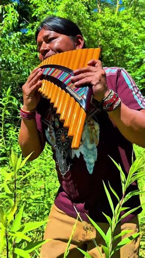 I have a dream #quenacho #quena #zampoña #nativeflutes #panflute
