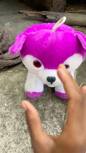 Funny frogs Catching |Wep wep catching frogsfunny | boing catch frogs make you laugh 🧐🤣😂#shorts