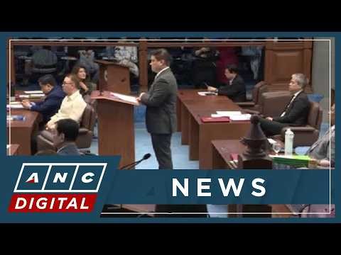 German on VP Sara message to lawmakers: 'You got 2 years, think about your political future' | ANC