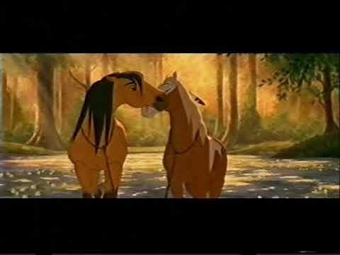 Spirit and Rain - Can you feel the love tonight