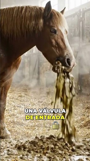 The Deadly Secret of Horses: Why They NEVER Vomit! #horses #crutches #horse #caballo