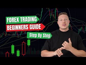 Forex Basics Introduction To Trading - Your Beginners Guide