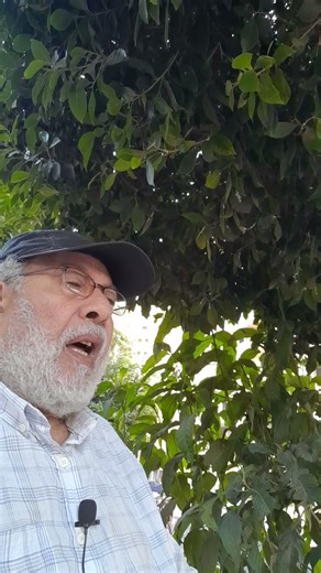 من أقوال المفكرين (27) (فيودور دوستويفسكي)