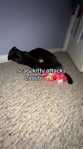 Scary Kitty Attacks Labubu: A Hilarious Moment
