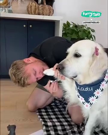 2.1M views · 15K reactions | Dog and baby's first art project together 凉 | Furry Tails | Facebook