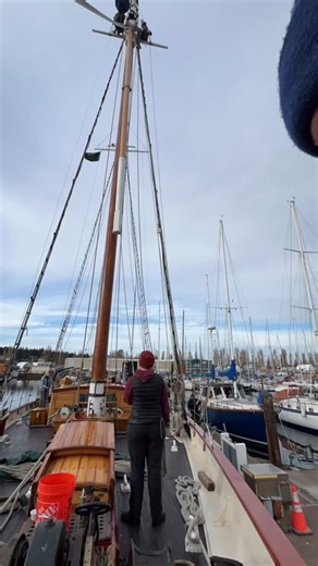 100 reactions · 4 comments | It’s fall once again! The trees are losing their leaves and the schooners are taking down their topmasts. . . . #autumn #schooner #topmast | Sound Experience aboard the Schooner Adventuress | Facebook