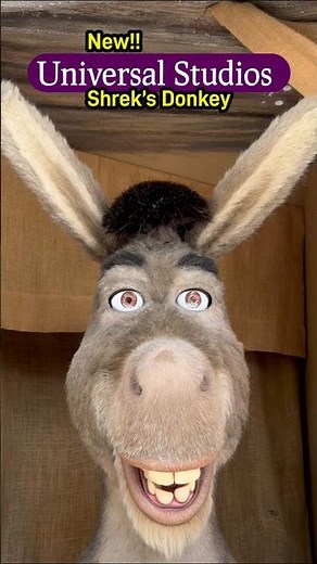 New! 2026! Shrek’s Donkey! Universal Studios Florida! #shortsfeed #universalparks #shrek