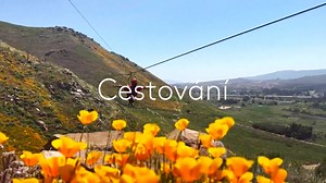 12 reactions | Cestujte s námi po Česku a poznejte nejzajímavější místa naší země ve 20.05 a od 20.40 sledujte to nejzajímavější ze světa. Už od roku 1995!  ➡️ Prima ČESKO a Prima SVĚT sledujte dnes od 20.05 na Prima ZOOM. | Prima ZOOM | Facebook