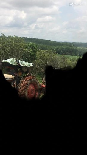 Old Red Tractors in Rural Agricultural Setting