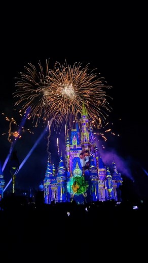 Who else loves a Disney fireworks show? 😍 #fireworks #waltdisneyworld #disney #disneyfireworks #disneyfireworksshow #magickingdom #disneyparks