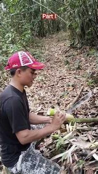 LOOKING FOR FLOWERS, the natural vegetable of our ancestors.